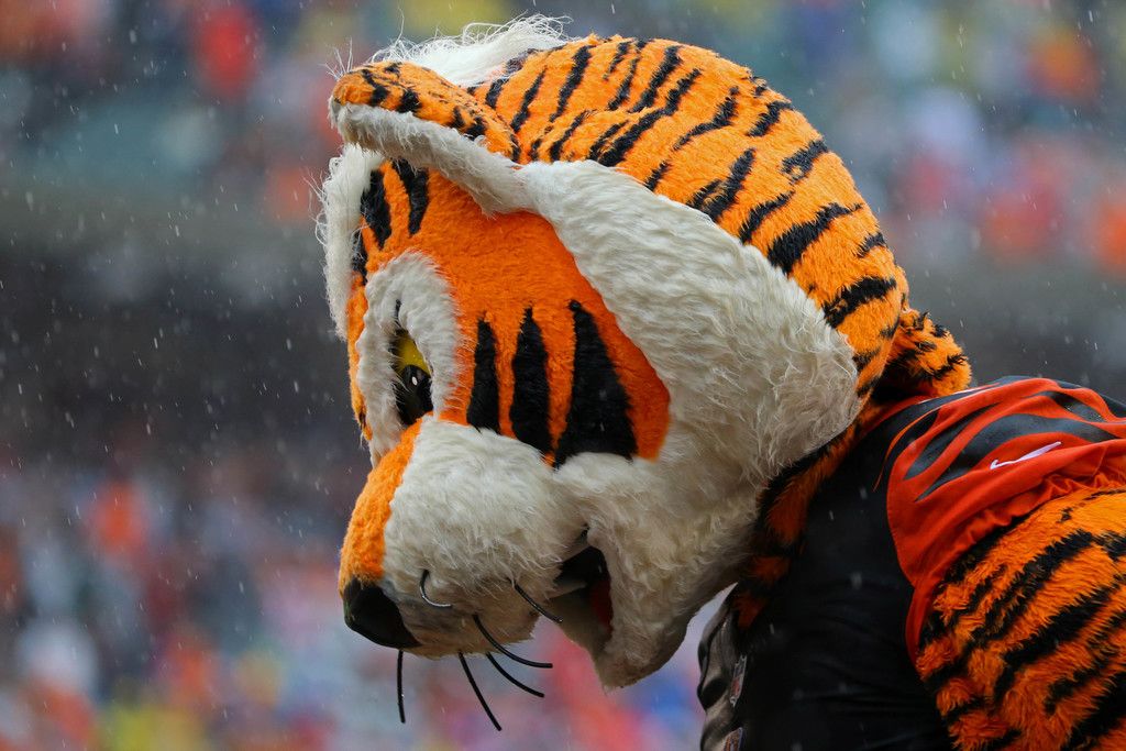 Where does Bengals’ Who Dey land in NFL mascot…