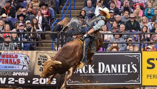 Stock Market Update: The Raging Bull Rides On