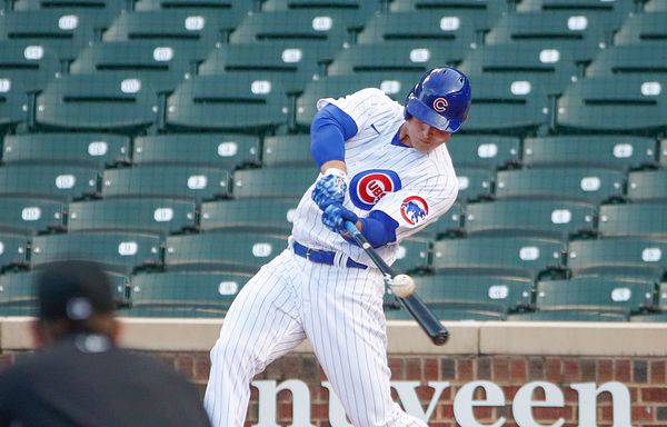 Diver find's Anthony Rizzo's wedding ring in Belmont Harbor - Chicago  Sun-Times