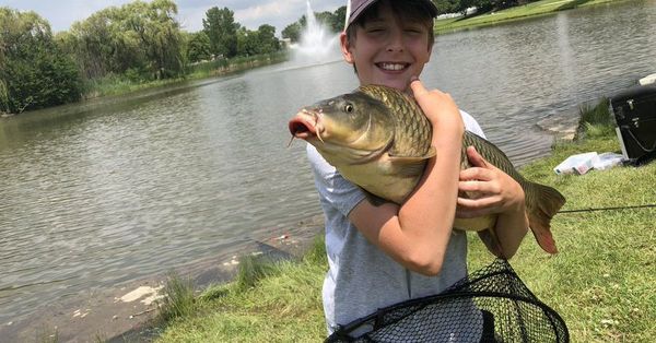 Chicago fishing, Midwest Fishing Report: Kings turning, lakers, steelhead, catfish, bass, cooler by water