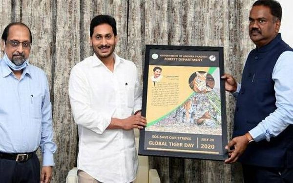 Tiger protection measures have my full support: Jagan