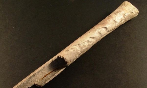 Bronze age Britons made keepsakes from parts of dead relatives, archaeologists say
