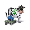 Everybody Loves Your Money