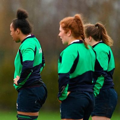 Wales ahead of us but Ireland are stronger too, insists Greg McWilliams