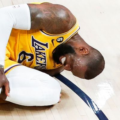 LeBron James played with torn tendon during Lakers Western Conference finals defeat