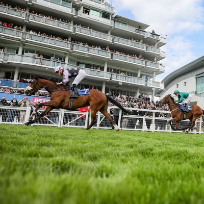 Jockey Club receive High Court injunction to stop Derby disruption