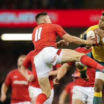 Today's rugby news as Australia superstars predict Wales World Cup disaster and claim they've 'hit the jackpot'
