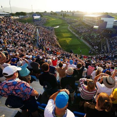 Ryder Cup 2023: Europe lead 9½-2½ against USA on day two – live