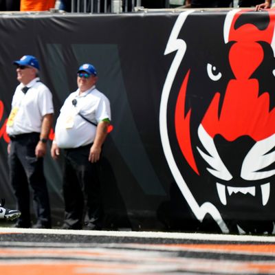 Bengals news: Rookie lost to IR, waiver claim added, Joe Burrow update