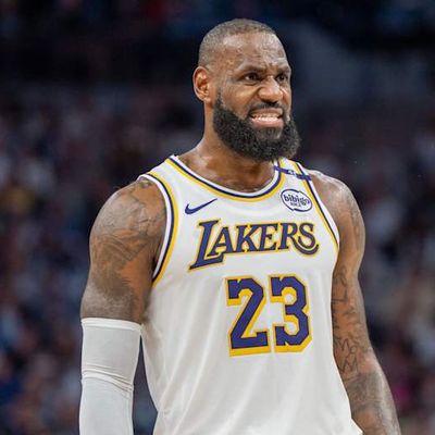 Timberwolves Troll LeBron James With Savage Clip After Eliminating Lakers in Playoffs