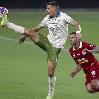 Roar striker's last-gasp ALM match-winner sinks Reds